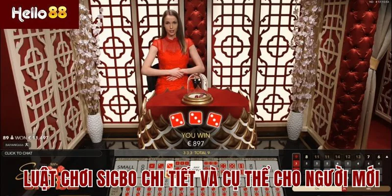 Luật chơi Sicbo chi tiết và cụ thể cho người mới